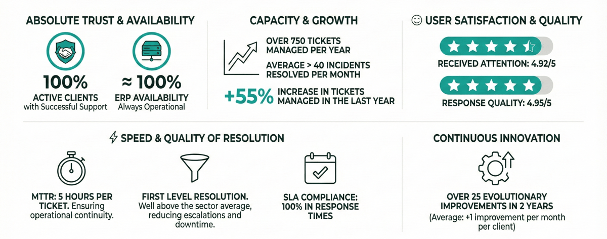 BMS - NET - Infografía soporte AMS SAP BYD (ING)