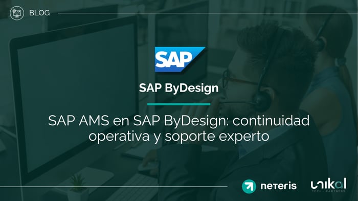 IMG RRSS - BLOG - Neteris - AMS SAP BYD