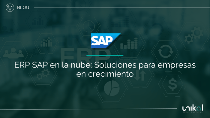 IMG RRSS - BLOG - Neteris - SAP ERP Cloud