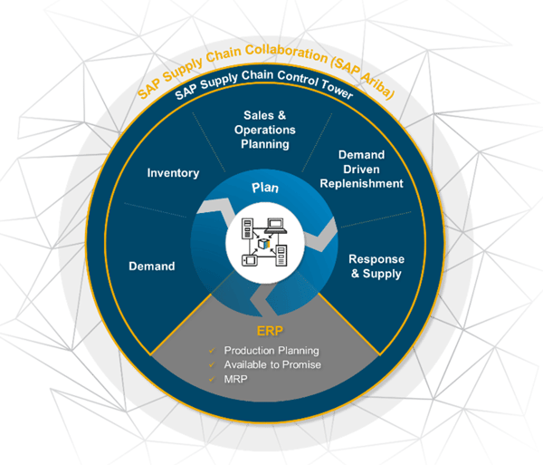 SAP IBP - supply chain rueda